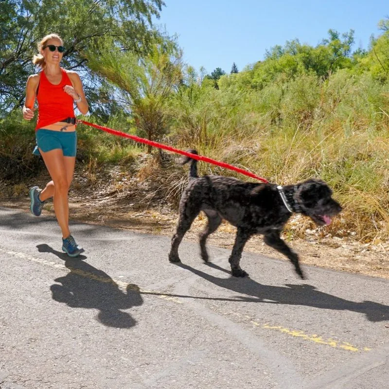 Alternative view of TowWhee Hundkoppel