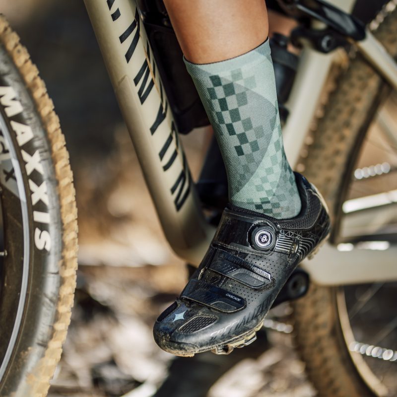 Alternative view of Sox X Olive