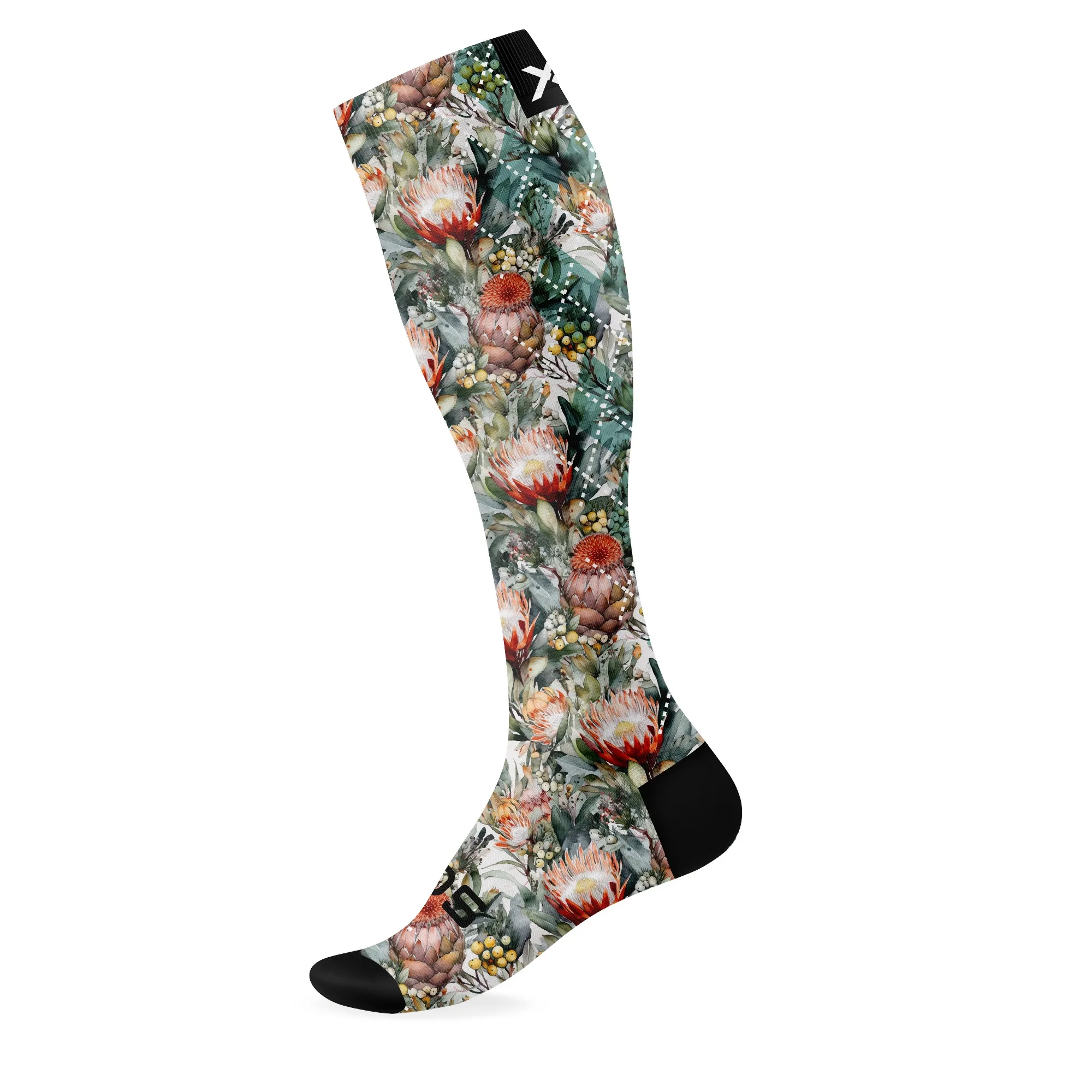 Sox Protea Garden Kompression